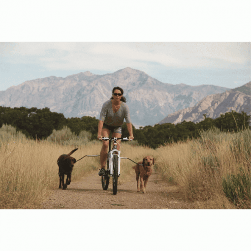 Cycleash met twee honden