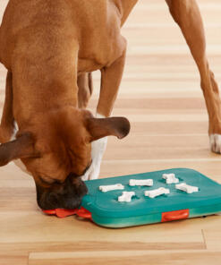 Dog Casino 7 Dog Casino