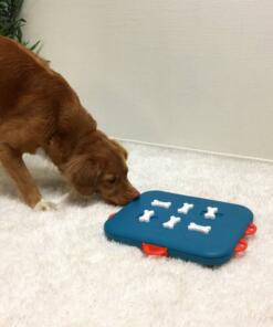 Dog Casino 8 Dog Casino