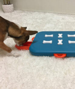 Dog Casino 9 Dog Casino