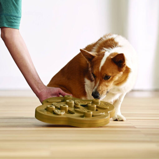 Dog Hide N Slide