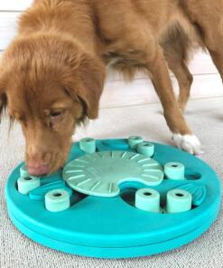 Dog Worker 7 Dog Worker