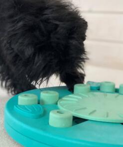 Dog Worker 6 Dog Worker