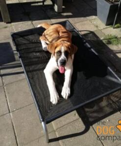 Hik9 Hondenstretcher 9 Hondenstretcher HiK9