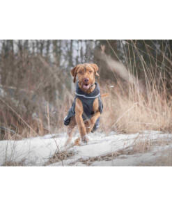 KevytPomppa Graphite