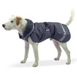 PerusPomppa Graphite