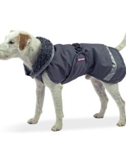 PerusPomppa Graphite