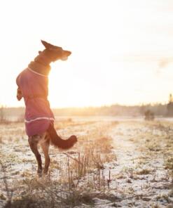 PerusPomppa alledaagse jas 23 PerusPomppa Plum