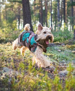 PerusPomppa alledaagse jas 22 PerusPomppa Kartta