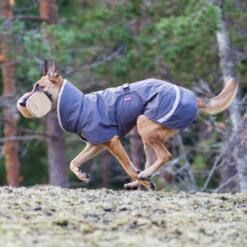 PerusPomppa Graphite