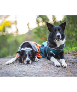 PerusPomppa alledaagse jas 21 PerusPomppa Orange en Petrol