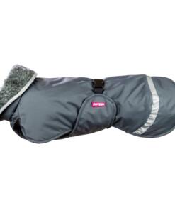 7 tips voor je hond in de sneeuw en vrieskou 3 PerusPomppa Graphite