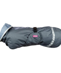 7 tips voor je hond in de sneeuw en vrieskou 4 SadePomppa Graphite