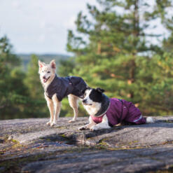 ToppaPomppa Graphite en Plum