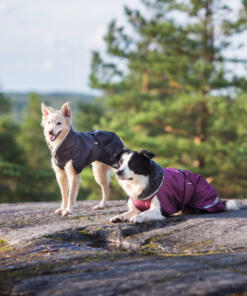 ToppaPomppa Graphite en Plum