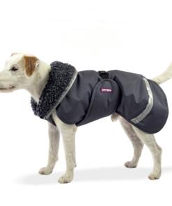 ToppaPomppa Graphite