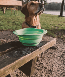 Travel Bowl - Beco Pets