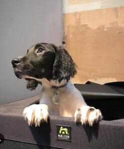 Zachte vouwbench Maelson 35 Zachte Vouwbench