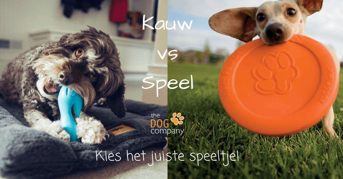 Kauw-vs-Speel-Kies-het-juiste-speeltje