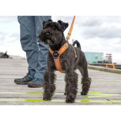 Comfort Walk Air tuig