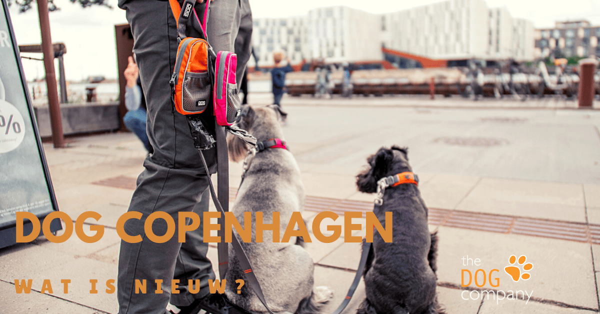 Dog Copenhagen wat is nieuw