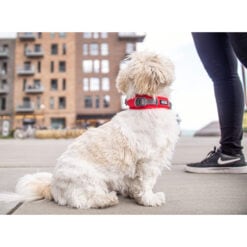 Urban Explorer Halsband