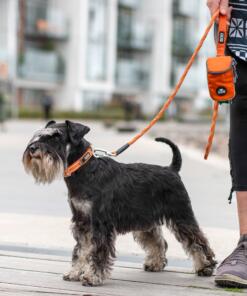 Urban Style Halsband 3.0 27 Urban Style Halsband 3.0