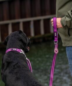 Urban Style Halsband 3.0 31 Urban Style Halsband 3.0