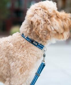 Urban Style Halsband 3.0 30 Urban Style Halsband 3.0