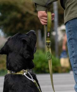 Urban Style Halsband 3.0 29 Urban Style Halsband 3.0