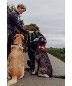 Orbiloc Dog Dual - LED lamp 69 Orbiloc Dog Dual - LED lamp