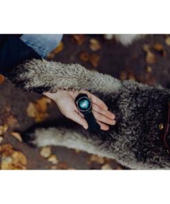 Orbiloc Dog Dual - LED lamp 70 Orbiloc Dog Dual - LED lamp