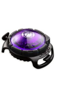 Orbiloc Dog Dual - LED lamp 54 Orbiloc Dog Dual - LED lamp