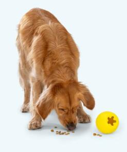 Rumbl - voerspeelgoed 17 Rumbl Dandelion