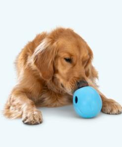 Rumbl - voerspeelgoed 20 Rumbl Aqua