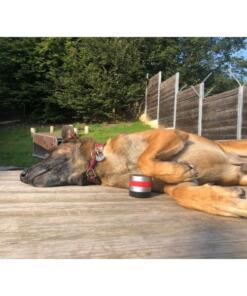 RelaxoPet Pro Hond 16 Relaxopet Pro Hond