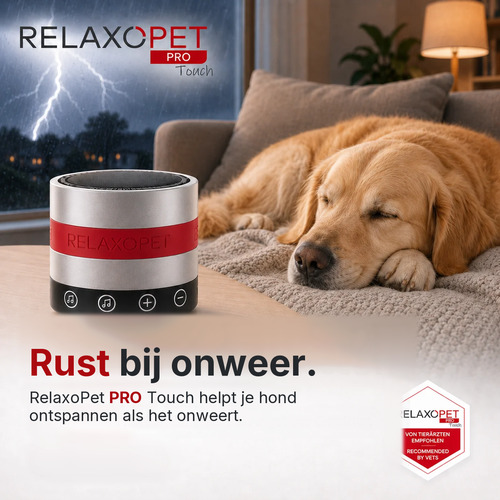 RelaxoPet PRO Touch anti-stress systeem voor honden 6 Hond slaapt rustig op de bank tijdens onweer met de RelaxoPet PRO Touch ernaast