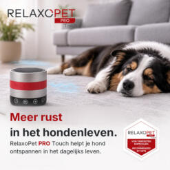 RelaxoPet PRO Touch anti-stress systeem voor honden 23 Hond ligt ontspannen op het tapijt naast de RelaxoPet PRO Touch