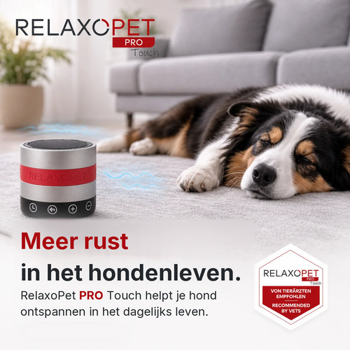 RelaxoPet PRO Touch anti-stress systeem voor honden 11 Hond ligt ontspannen op het tapijt naast de RelaxoPet PRO Touch