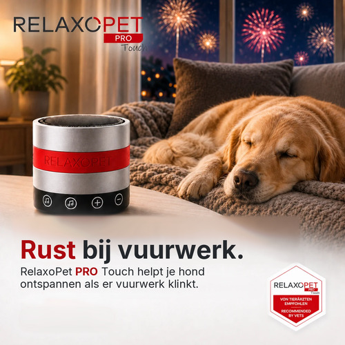 RelaxoPet PRO Touch anti-stress systeem voor honden 7 Hond ligt ontspannen te slapen terwijl buiten het vuurwerk klinkt