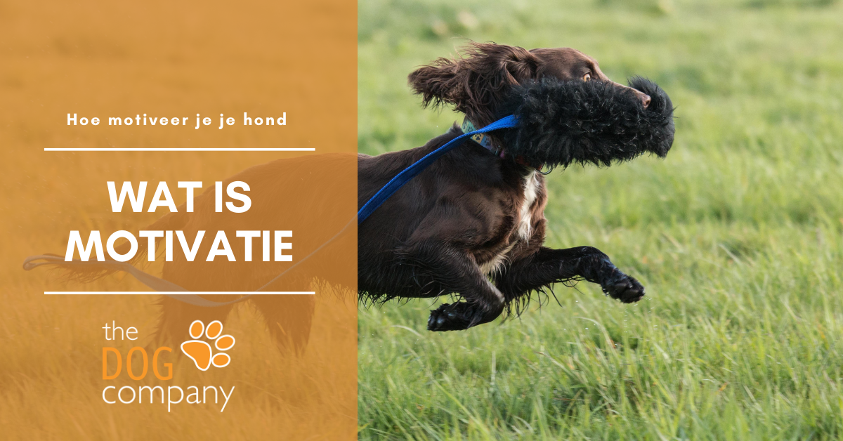Wat is motivatie?