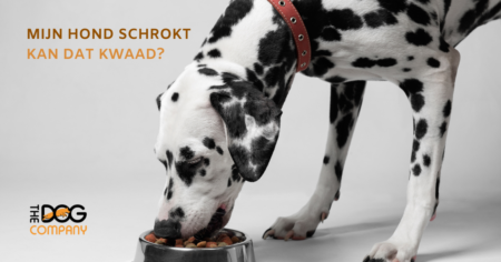 Header mijn hond schrokt 1