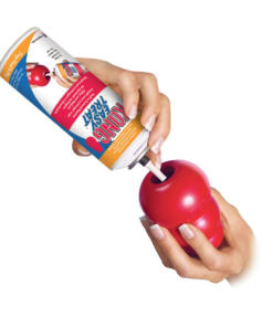 KONG Classic 14 Classic KONG