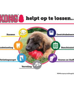 KONG Classic 15 KONG helpt op te lossen