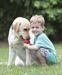 KONG Classic 18 Classic KONG