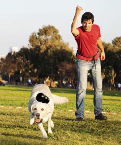 KONG Extreme 14 KONG Extreme