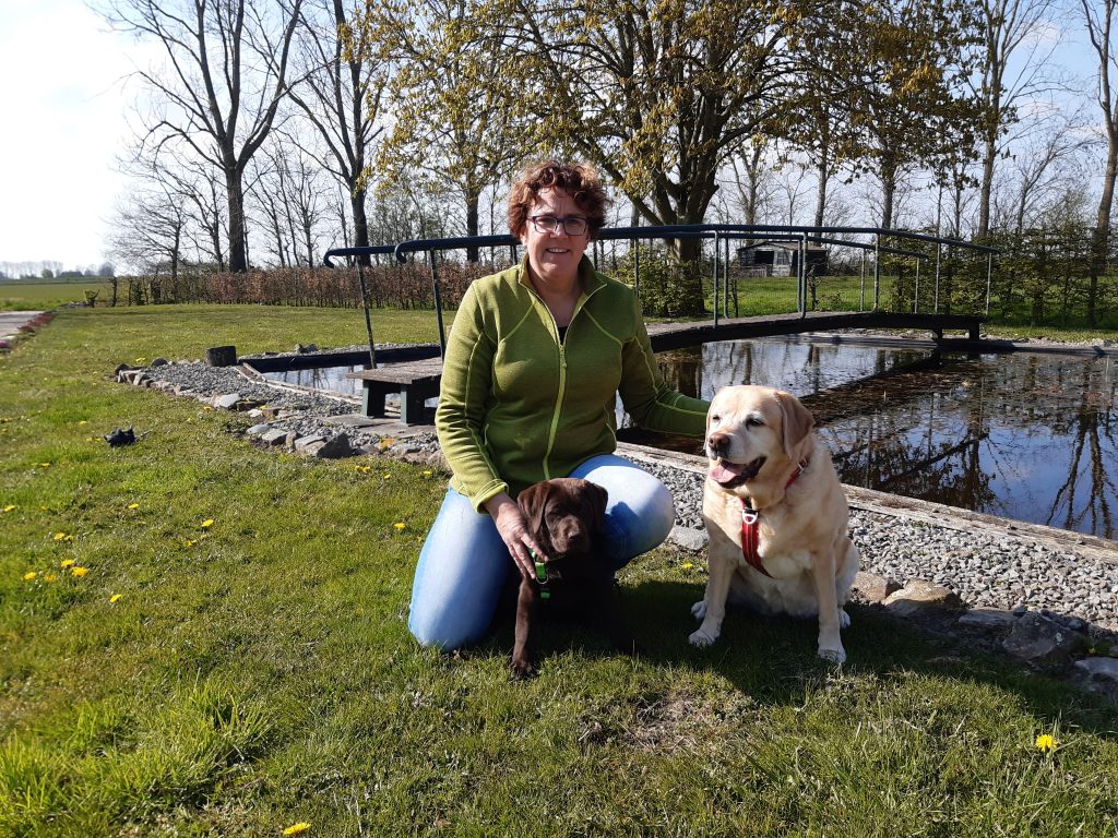 Daniëlle & Saar & Fien - Team