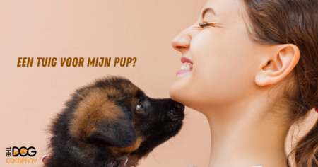 Een tuig voor mijn pup? 11 header tuig pup 1