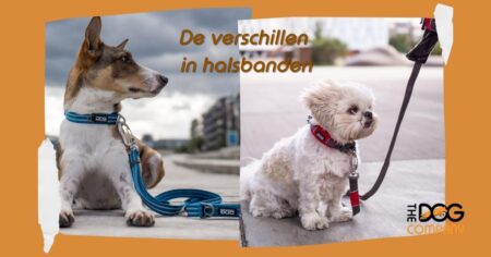 Dog copenhagen halsband