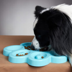 2-in-1 Slow feeder & Lick Pad